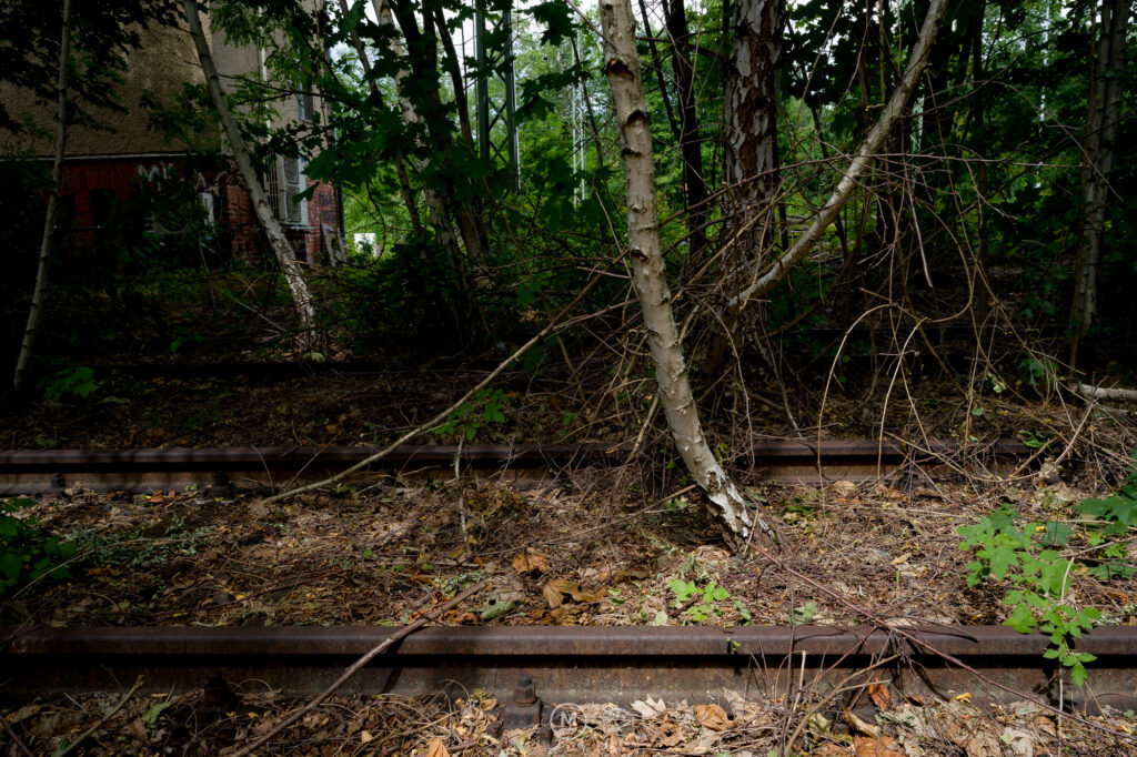 Reclaimed Tracks, Platform 17