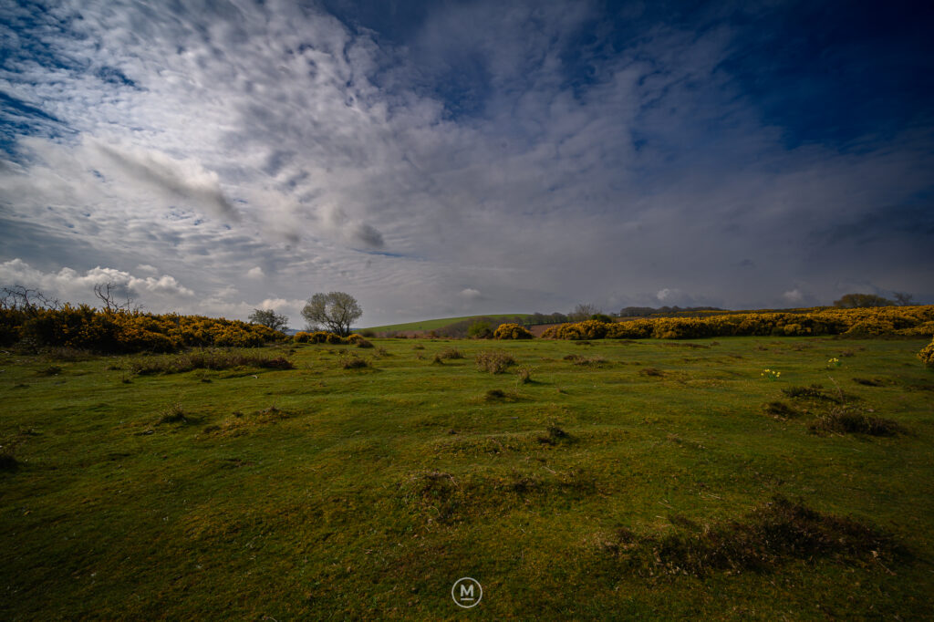 Serene Meadow Under a Dramatic Sky